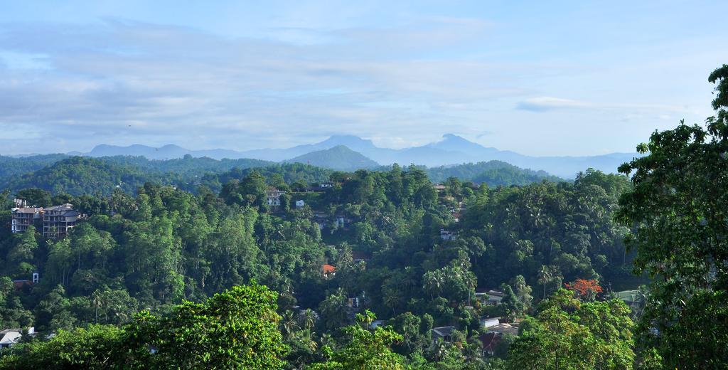 Primrose Inn Kandy Quarto foto